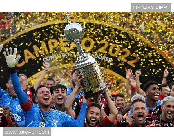 2018年欧冠热刺与曼城激战回顾揭示足球战术与激情的碰撞