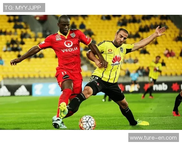 布里斯班与阿德莱德比赛前瞻及比分预测分析 布里斯班与阿德莱德比赛前瞻及比分预测分析